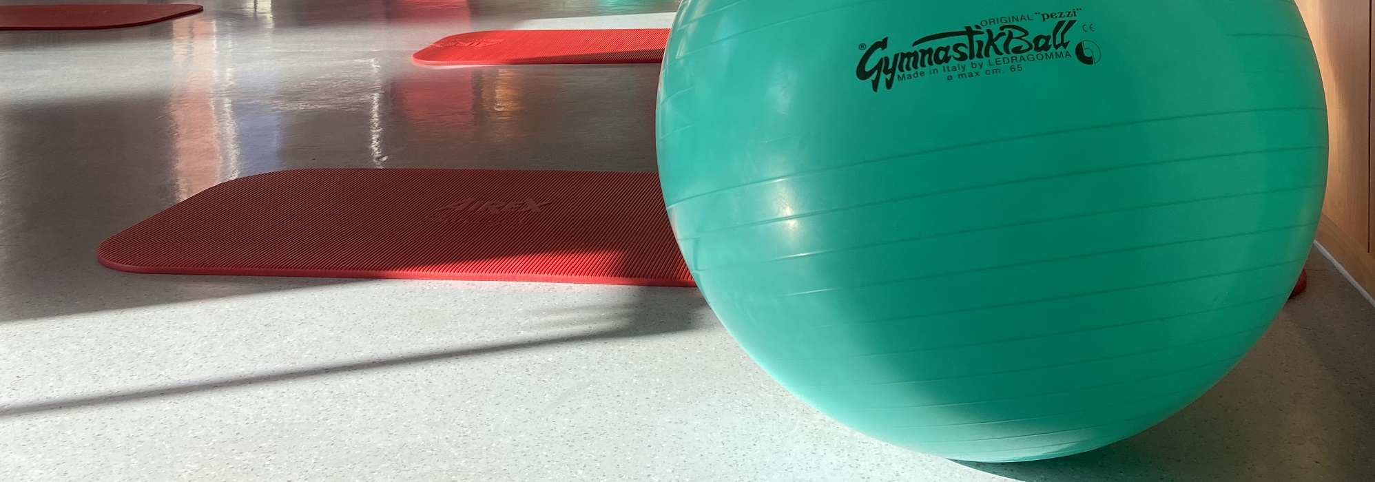 türkiser Gymnastikball