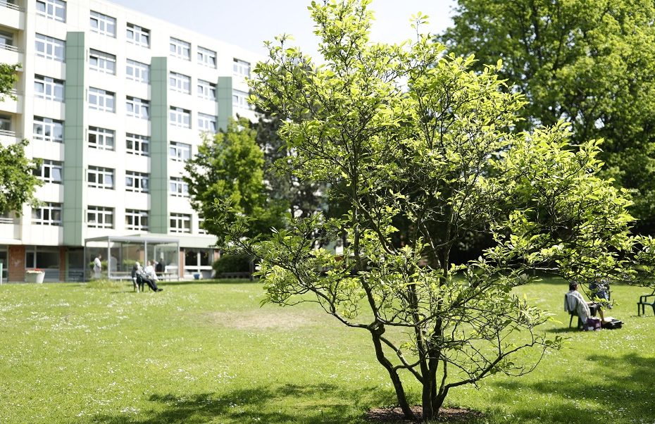 Krankenhauspark