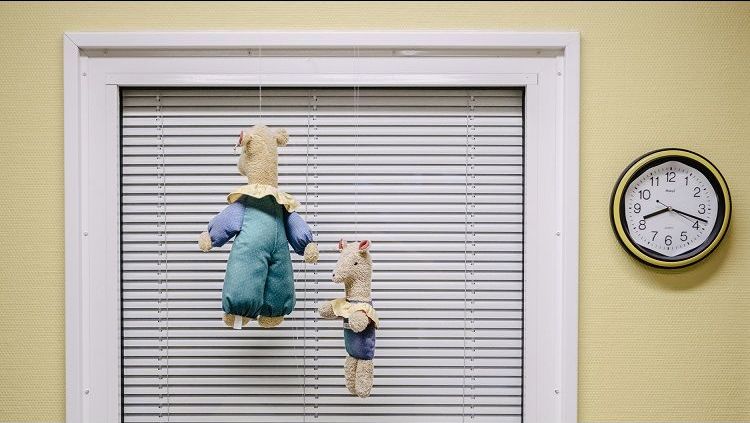 Kuscheltiere vor einem Fenster