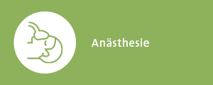 Icon Anästhesie